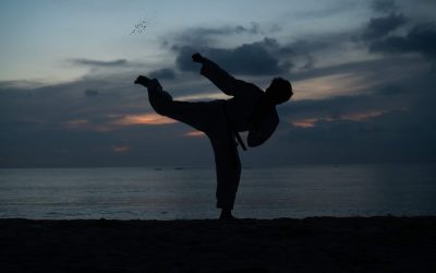 Getting Back to Martial Arts: Paul Beierwaltes